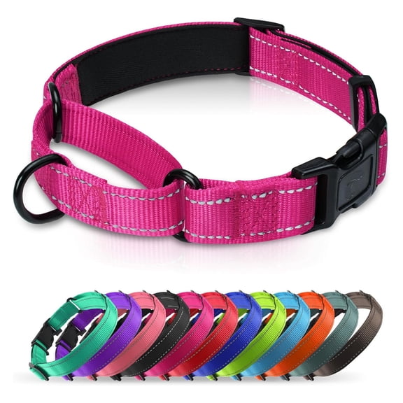 GASTROPOD Martingale Collar for Dogs with Quick Release Buckle, Reflective Soft Padded &Amp; Escape Proof, Adjustable Nylon Dog Collars for Training &Amp; Daily Walking (Hotpink,M)