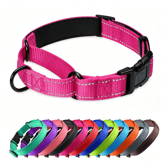 GASTROPOD Martingale Collar for Dogs with Quick Release Buckle, Reflective Soft Padded & Escape Proof, Adjustable Nylon Dog Collars for Training & Daily Walking (Hotpink,S)