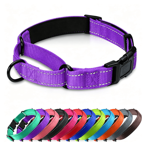 GASTROPOD Martingale Collar for Dogs with Quick Release Buckle,Reflective Soft Padded&Escape Proof,Adjustable Nylon Dog Collars for Training&Daily Walking(Purple,M)
