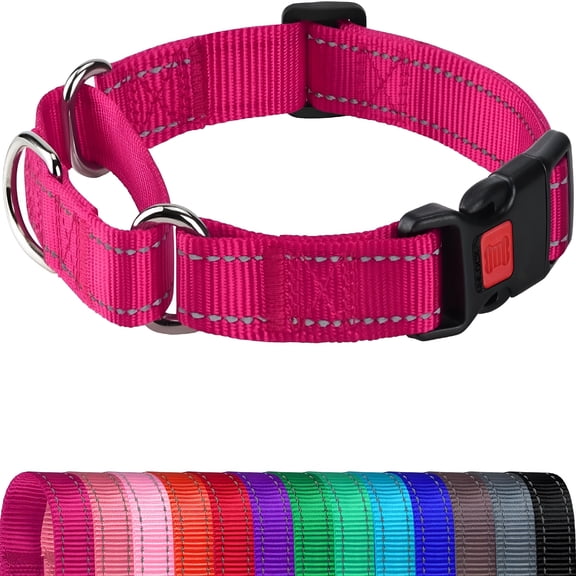 GASTROPOD Martingale Collar for Dogs,Reflective Heavy Duty for Safety,Quick Release Buckle,Adjustable Nylon Collars for Medium Dogs Walking Training,Hotpink,M