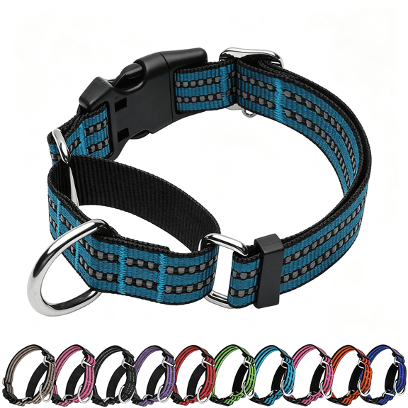 GASTROPOD Martingale Collar for Dogs, Reflective No Slip(Gentian Blue,M) | Sturdy Nylon with Quick Release Buckle, Adjustable No Pull without Choking Training, Reflective Strip for Night Safety