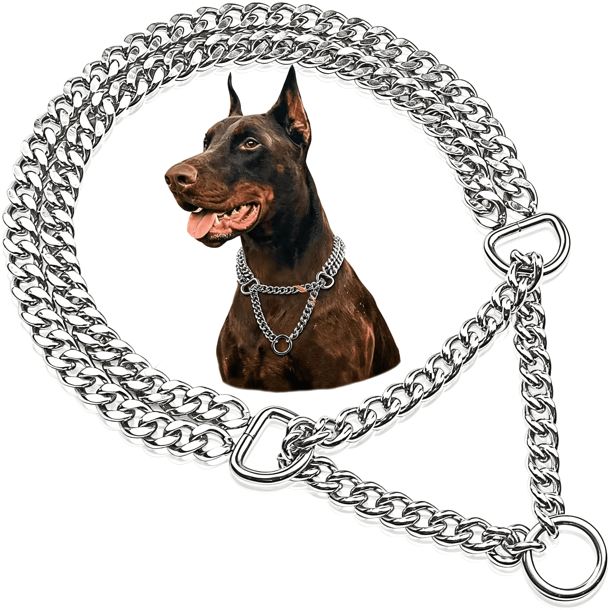 GASTROPOD Metal Martingale Collar - Dog Chain Collar, Chain Slip Collar ...