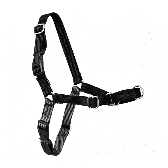 GASTROPOD No-Pull Dog Harness Harness to Help Stop Pulling-Pull-Free Walks-Take Control&Teach Better Leash Manners-Patented Martingale Loop Design-Gray,Medium/Large