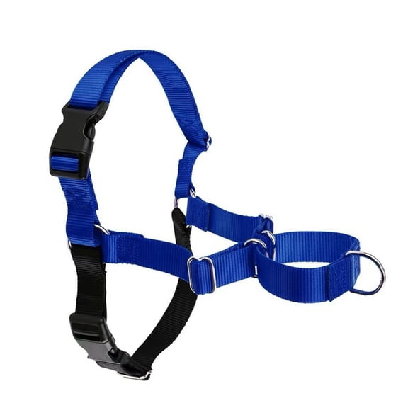 GASTROPOD No-Pull Dog Harness - Ultimate Harness to Help Stop Pulling - Pull-Free Walks - Take Control & Teach Better Leash Manners - Patented Martingale Loop Design - Royal Blue, Large