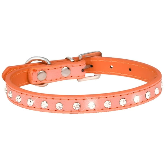 GASTROPOD Pet Leash,Shock-Reducing Dog Leash for Small Dogs,Suitable for Multiple Breeds Rabbitgoo Dog Harness,S