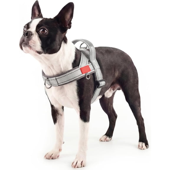 GASTROPOD No Pull Dog Harness with Handle, Reflective Dog Vest, Light Grey, M | Adjustable, Front Leash Clip, Safety Lock Buckle, Breathable Mesh Padded, Quick Fit, for Boston Terrier & Small Dogs