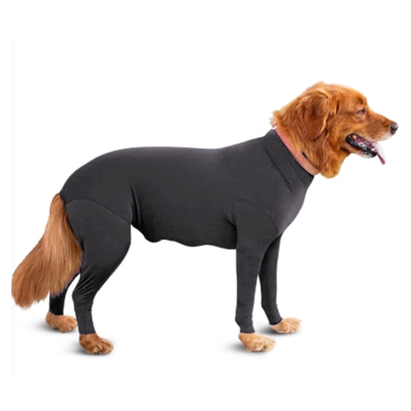 AOMRCOL Dog Surgery Recovery Suit for Small to Medium Dogs, Purple, Size S