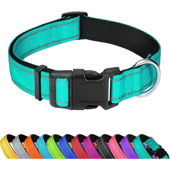 GASTROPOD Reflective Dog Collar,Adjustable Soft Neoprene Padded Nylon Pet Collars with Buckle for Large Dogs,Teal,L Safe Reflective Dog Collar