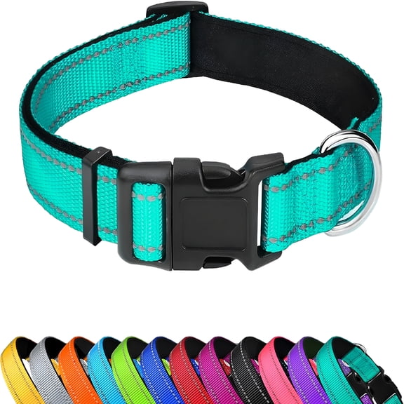 GASTROPOD Reflective Dog Collar,Adjustable Soft Padded Nylon Pet Collars with Buckle for Medium Dogs,Teal,M