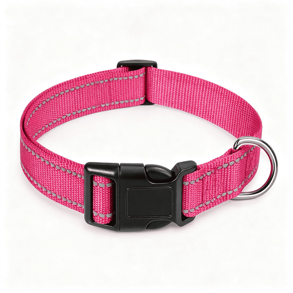 GASTROPOD Reflective Dog Collar with Buckle Adjustable Safety Nylon Collars for Small Medium Large Dogs,Reflective Puppy Collar S