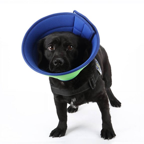 GASTROPOD Soft Cone for Dogs,Flexible Dog Cone Collar,Soft Cat Cone Collar,Adjustable Dog Donut Collar,Dog Recovery Cone Collar