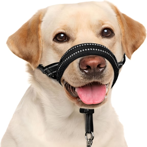 GASTROPOD Soft Dog Head Collar,Padded No Pull Head Halter,Training Nose Leash with Safety Link for Medium Large Dogs,Adjustable Muzzle Leash,Easy Control for Walking (Black,M)