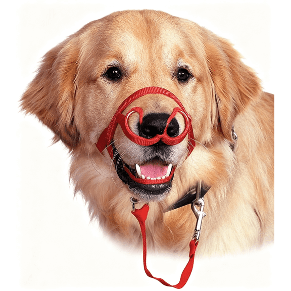 GASTROPOD Soft Dog Head Collar, No Pull Training Tool for Large Dogs on Walks, Gentle Halter for Heavy Pullers, Includes a Training Guide No Pull Dog Collar