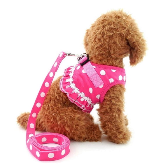 GASTROPOD Step-In Dog Harness and Leash Set for Small Dogs, Polka Dot Mesh Padded Puppy Vest, No-Pull Breathable Escape Proof Harness for Cats Chihuahua Yorkie Step in Dog Harness