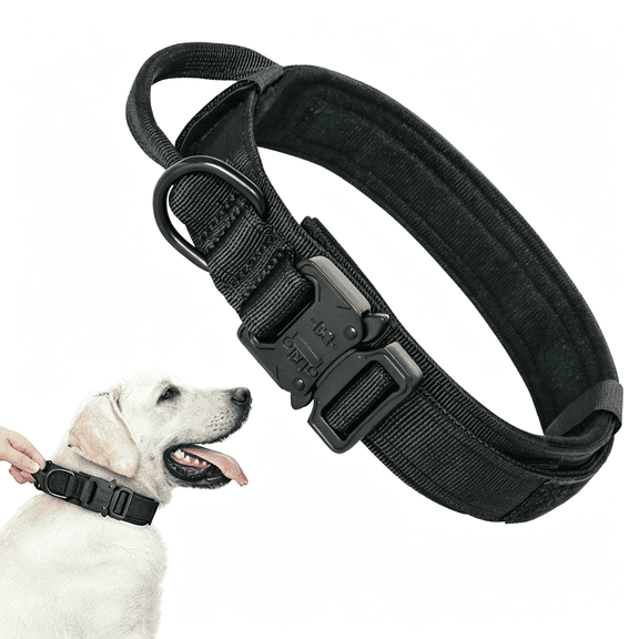 GASTROPOD Tactical Dog Collar with Handle and Metal Buckle,Heavy Duty Padded Military Collar with 2 Patches for Training,Adjustable for Large Dogs,Dog Collars for Large Dogs,Black,L
