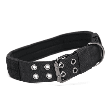 GASTROPOD Tactical Dog Collar,Versatile 5-Adjustable Position Dog Training Collar,High-Strength Nylon Leash,Comfortable XL Dog Collar