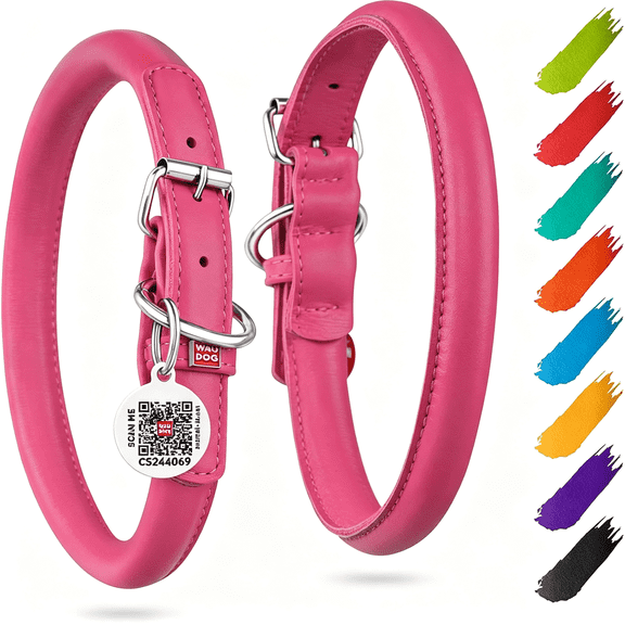 GASTROPOD Ultra Soft Rolled Leather Dog Collar-Soft Padded for Small and Medium Breeds-Puppy Collar for Male and Female Dogs Dog Collars