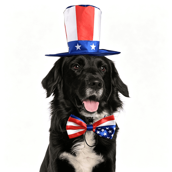 GASTROPOD Uncle Sam Dog Top Hat & American Flag Dog Bow Tie Collar - 4Th July Pet Costume Set for Dogs & Cats, Patriotic Dog Collar (2Pcs, Satin, Adjustable Size)