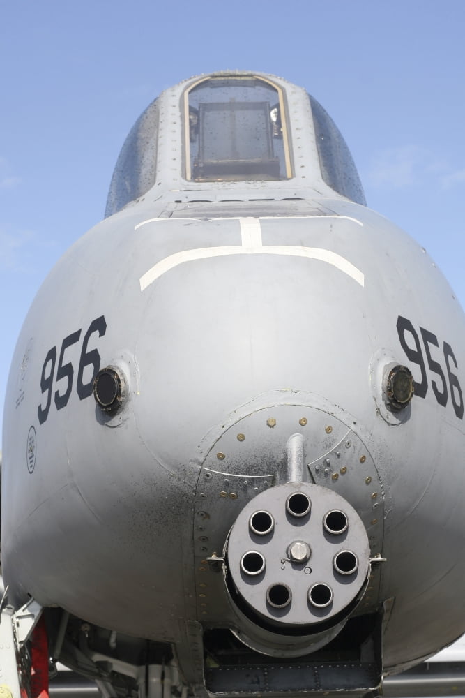 GAU-8 Avenger gun on the front of an A-10 Thunderbolt Canvas Art - Timm ZiegenthalerStocktrek Images (12 x 18)