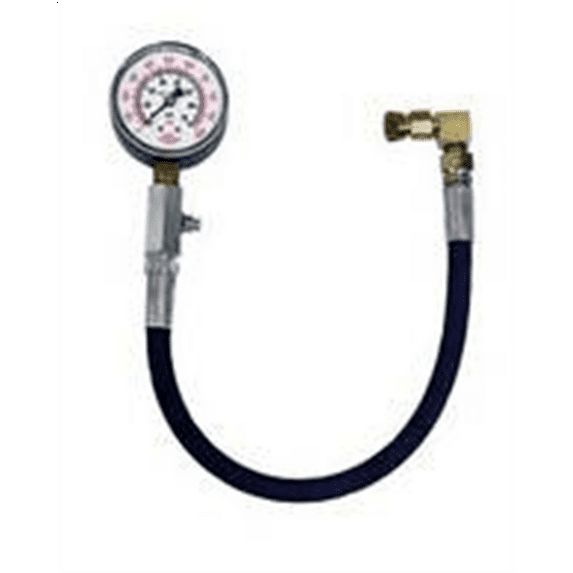 GAUGE AND HOSE