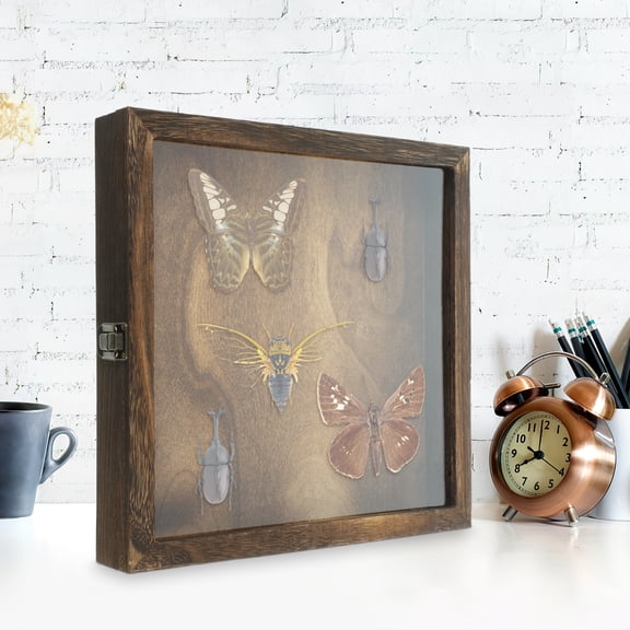 GAXIRE Acrylic Display Case for Collectibles 30x30x4.5CM with Wood Base, Clear Protective Showcase for Home Decor
