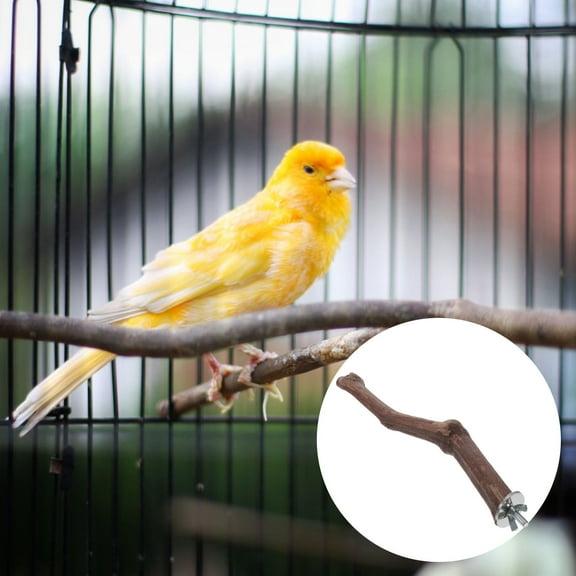 GAXIRE Parrot Perch Accessory Standing Rod for Birds Brown Color Random Style 1 Piece