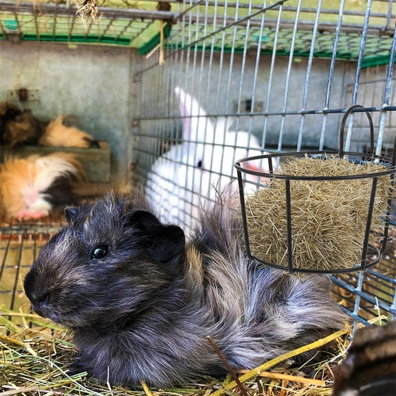 GAXIRE 2Pcs Black Metal Rabbit Feeding Station Hay Rack Cage Hanging Feeder Durable Small Animal Hay Holder