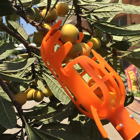 GAXIRE 2Pcs Lightweight Orange Fruit Pickers Labor Saving Tool for Plum Pear Harvest
