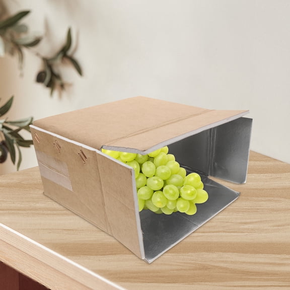 GAXIRE 2Pcs Thermal Insulated Carton Boxes for Food Shipping Cold Chain Packaging Brown Mailer