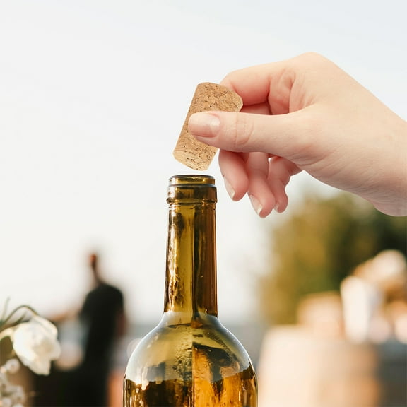 GAXIRE 30 Pcs Beige Wood Cork Stoppers Reusable Sealing Caps for Kitchen Storage Bottles and Containers