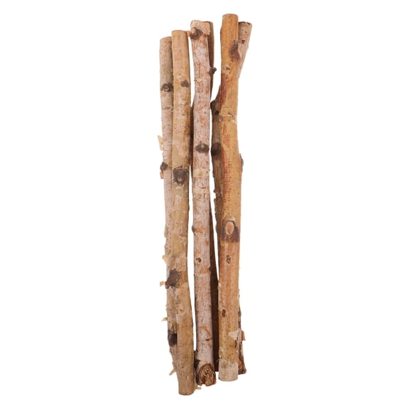 GAXIRE 6Pcs Lightweight Dried Wood Stick Branches for Decorative Vase and Party Displays