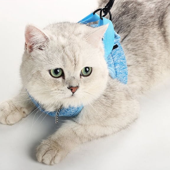 GAXIRE Comfortable Sky Blue Traction Strap for Pets with Easy Buckle and Adjustable Fit