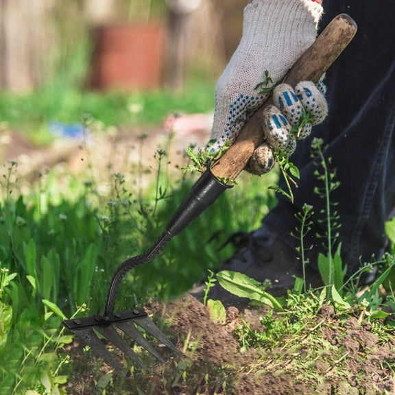 GAXIRE Lawn Dethatcher Rake for Lawn Care and Garden Maintenance, Black 1-Pack Tool