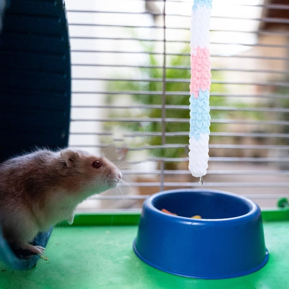 GAXIRE Small Pet Hamster Treats and White Cotton Climbing Rope Toy Set for Hamsters and Other Small Animals