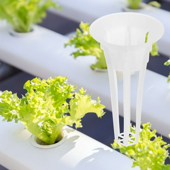 GAXIRE Hydroponic Growing Cups 50 Pcs White Plastic for Soilless Planting