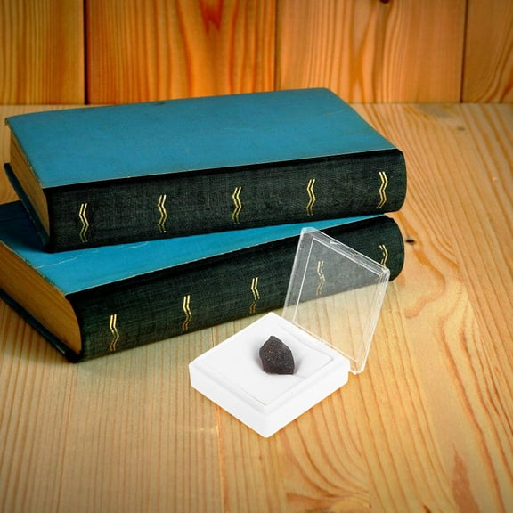GAXIRE Meteorite Rock Sample Irregular Meteorite Dark Brown 1Pack