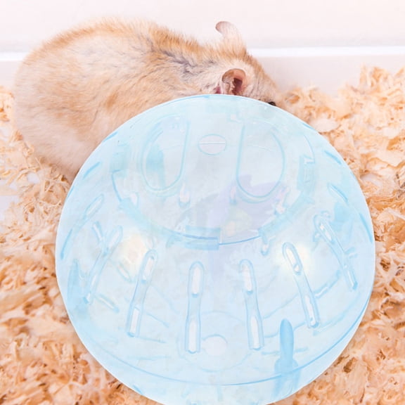 GAXIRE Small Pet Exercise Ball Blue Clear Plastic for Hamster Fitness and Activity
