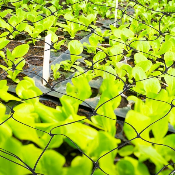 GAXIRE Trellis Net Bean Trellis Netting For Garden Outdoor Trellis Net For Climbing Plants Daily Use Plants Trellis Trellis Net For Grow Tent