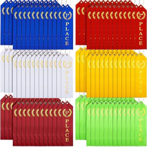 GAY 180 Pcs Swimming Gymnastics Track Award Ribbon Award Ribbons 1st to 6th Place Flat Carded Set First Place Prizes with Card and Rope Award Ribbon Organizer Contest Award Ribbons, 6 Color