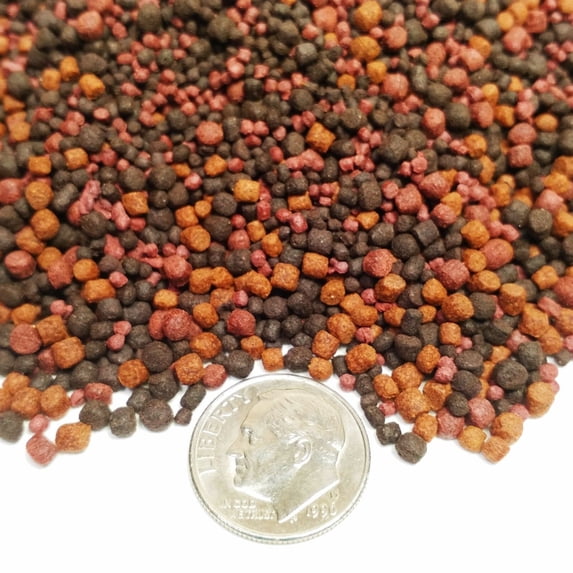 GB-1000 12-Type Cichlid Mix of Floating & Sinking Blackworm & Intense Coloring…1-lb