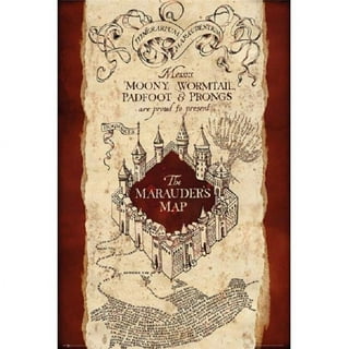 Harry Potter - Graphic Potter Poster Print - Item # VARTIARP16400