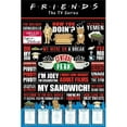 thumbnail image 1 of GB Eye XPE160478 Friends Infographic Poster Print, 24 x 36, 1 of 1