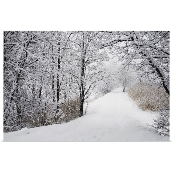 GBC | "A Path Lined With Trees And Covered In Snow; Quebec, Canada" Art Print - 48x32