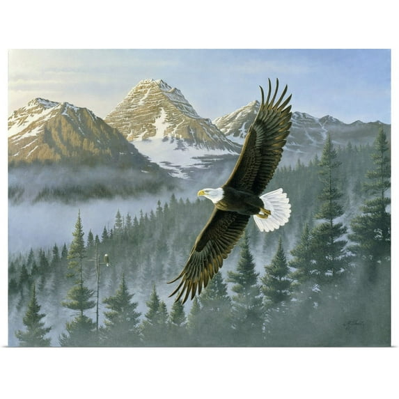 GBC | "Soaring Eagle" Art Print - 20x16