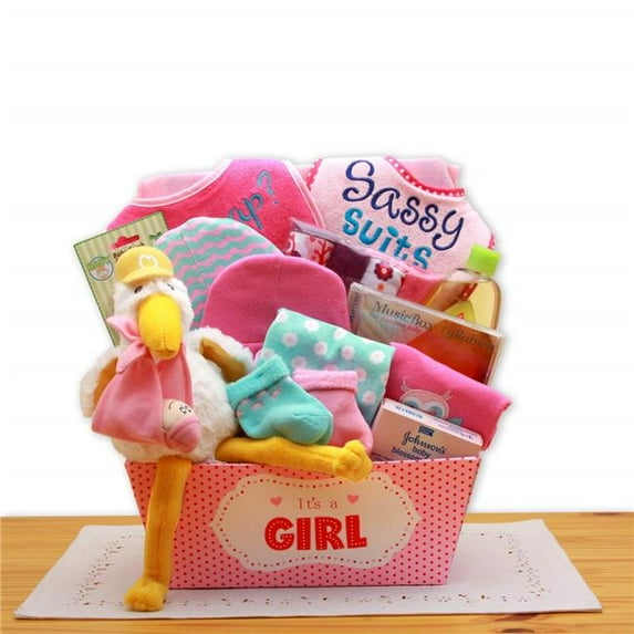 GBDS A Special Delivery New Baby Gift Basket- Pink