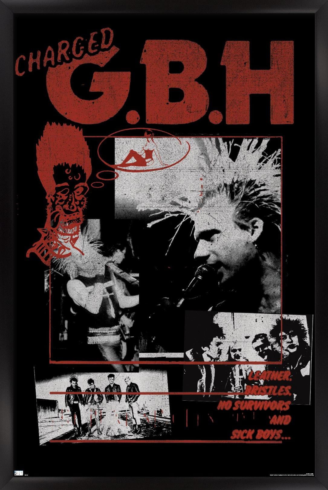 GBH - Montage Wall Poster, 14.725" x 22.375", Framed