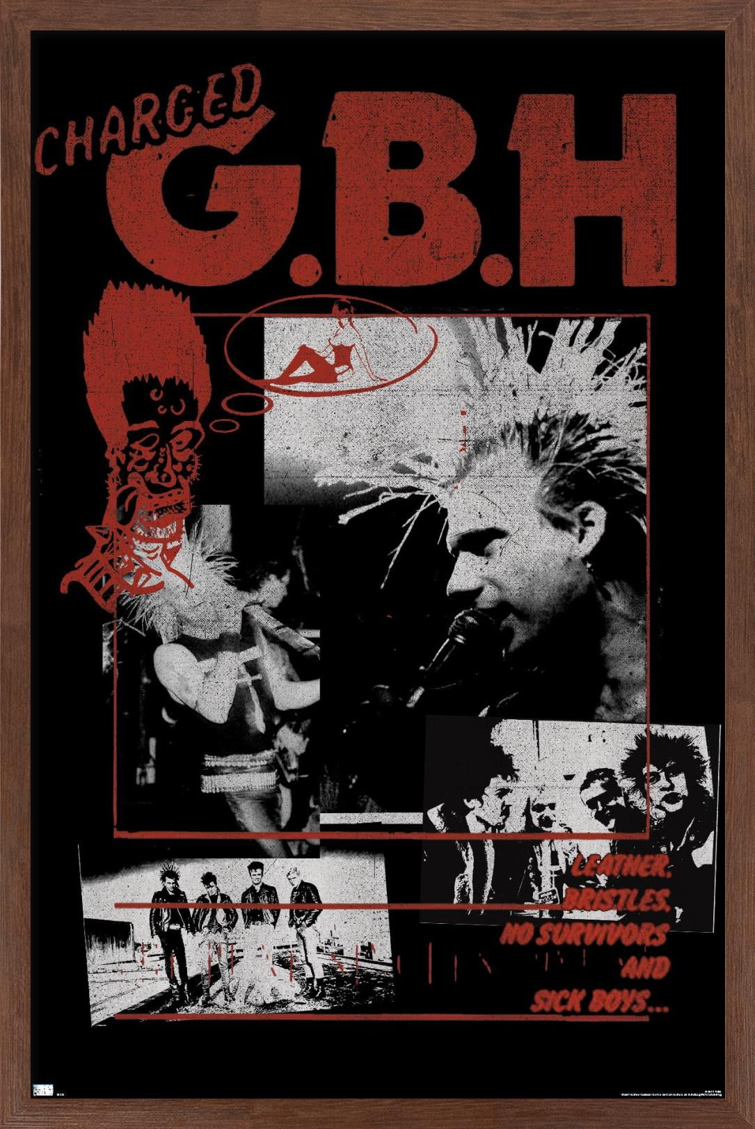 GBH - Montage Wall Poster, 14.725" x 22.375", Framed