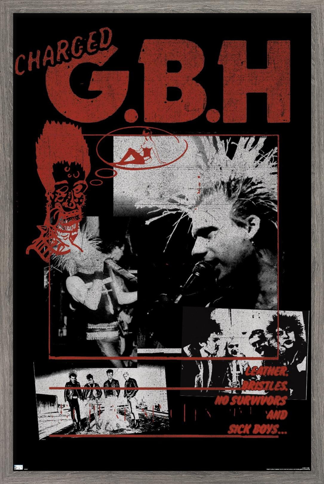 GBH - Montage Wall Poster, 22.375" x 34", Framed