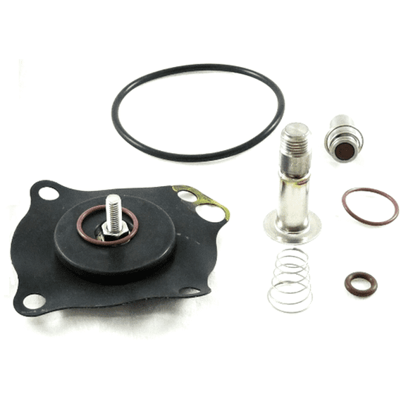 GC Valves KS211AF02V5FG9 - REPAIR KIT WITH VITON SEAT