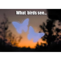 WindowAlert Butterfly Anti-Collision Window Decals - UV Reflective Bird Protection Stickers Made In USA